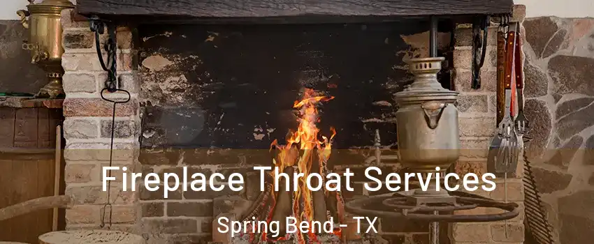 Fireplace Throat Services Spring Bend - TX