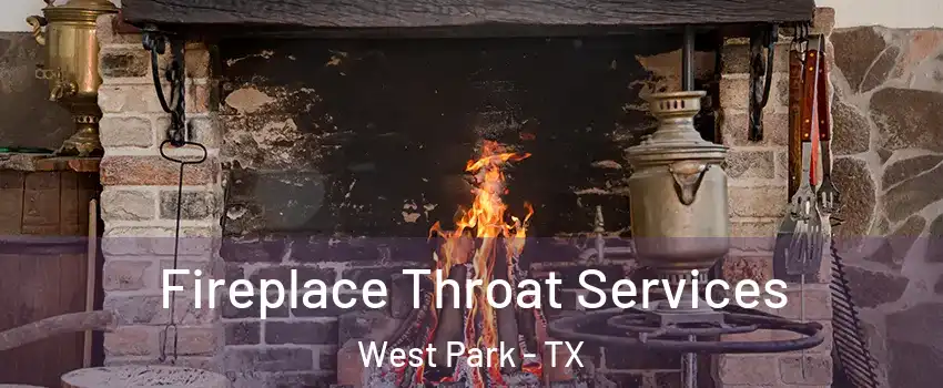 Fireplace Throat Services West Park - TX
