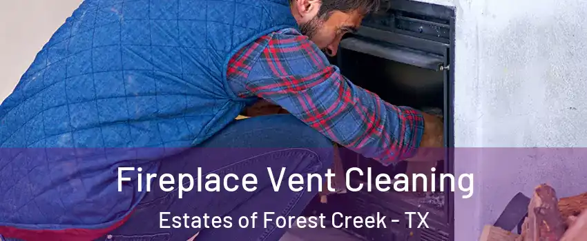 Fireplace Vent Cleaning Estates of Forest Creek - TX