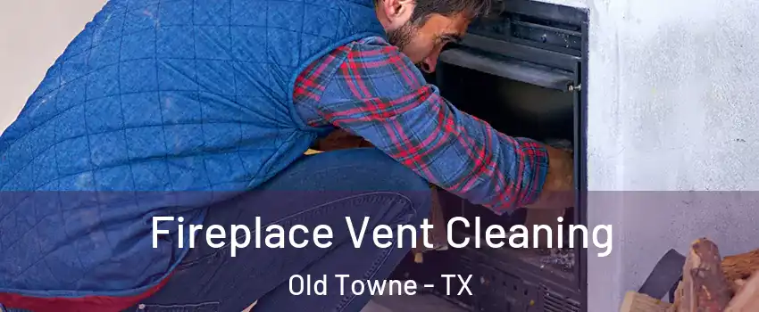 Fireplace Vent Cleaning Old Towne - TX