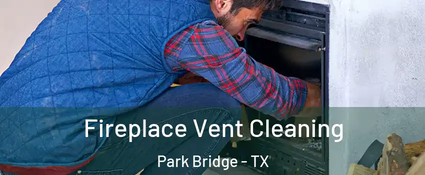 Fireplace Vent Cleaning Park Bridge - TX