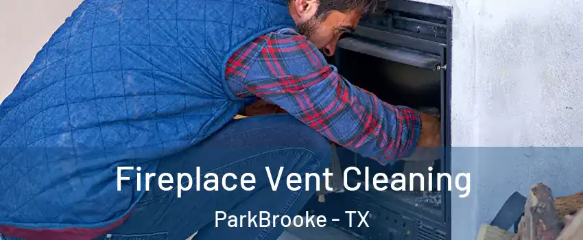 Fireplace Vent Cleaning ParkBrooke - TX