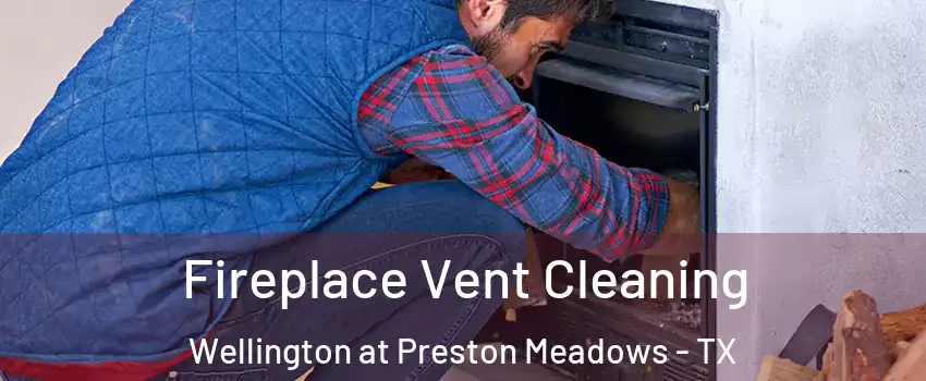 Fireplace Vent Cleaning Wellington at Preston Meadows - TX