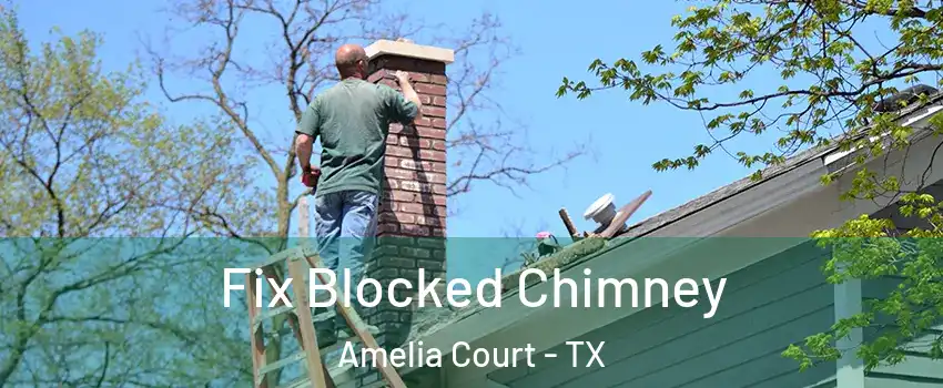 Fix Blocked Chimney Amelia Court - TX