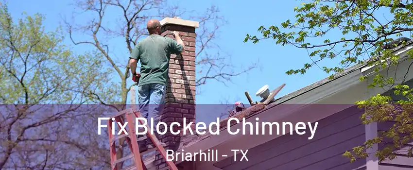 Fix Blocked Chimney Briarhill - TX