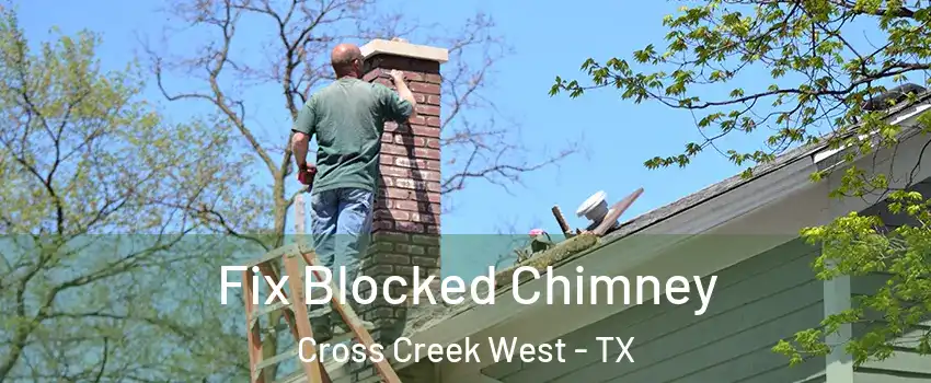 Fix Blocked Chimney Cross Creek West - TX