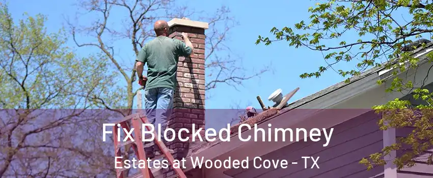 Fix Blocked Chimney Estates at Wooded Cove - TX