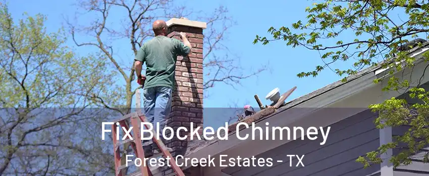 Fix Blocked Chimney Forest Creek Estates - TX