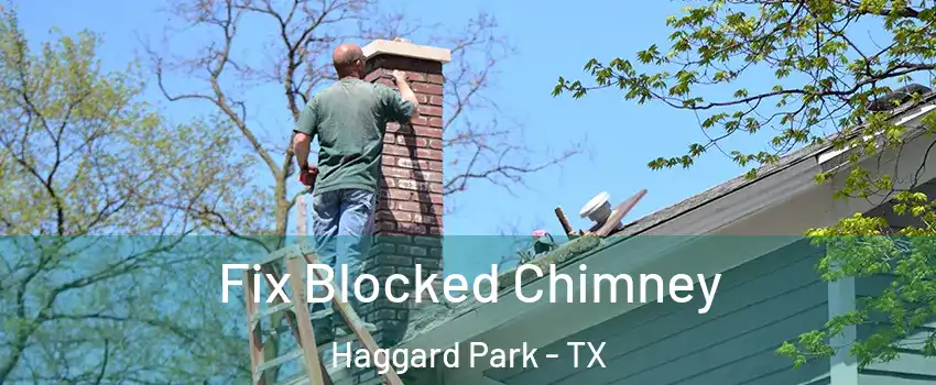 Fix Blocked Chimney Haggard Park - TX