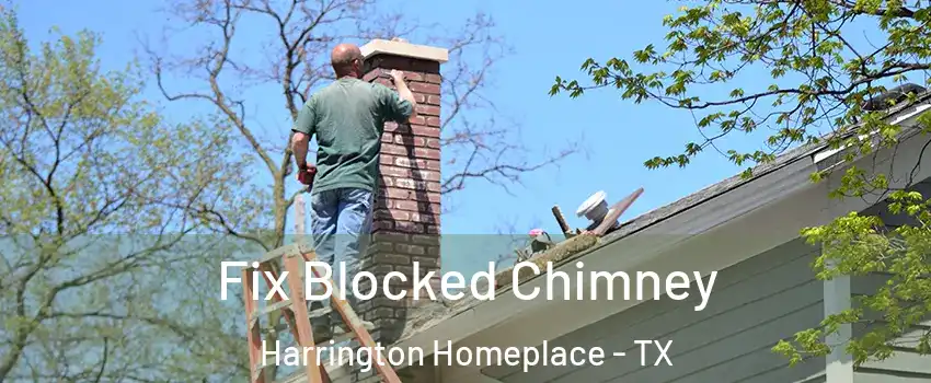 Fix Blocked Chimney Harrington Homeplace - TX