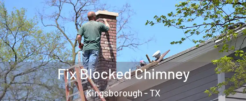 Fix Blocked Chimney Kingsborough - TX