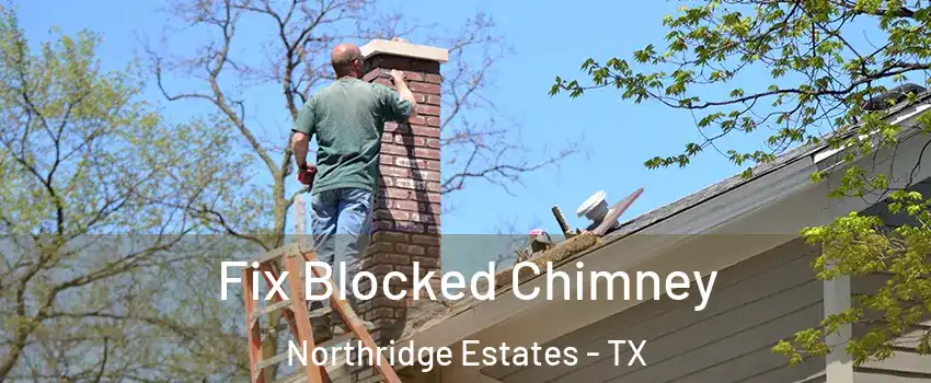 Fix Blocked Chimney Northridge Estates - TX