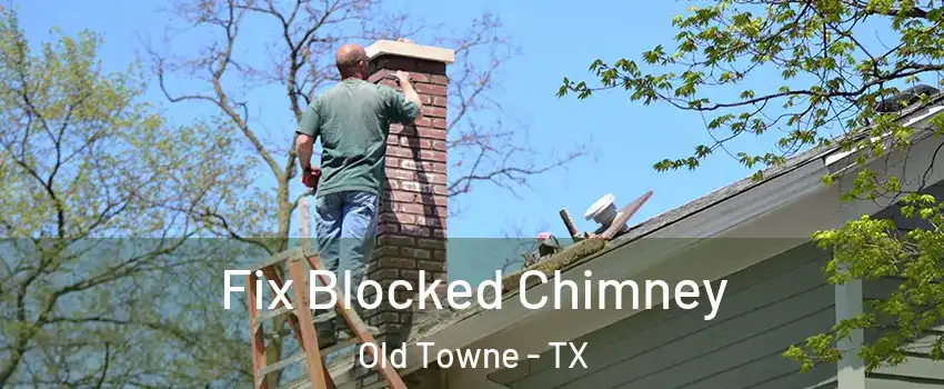 Fix Blocked Chimney Old Towne - TX