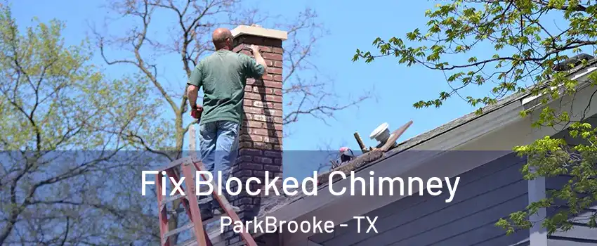 Fix Blocked Chimney ParkBrooke - TX