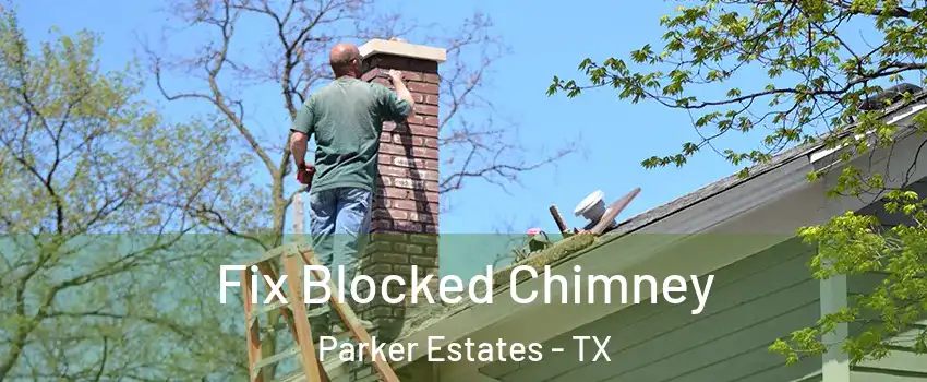 Fix Blocked Chimney Parker Estates - TX