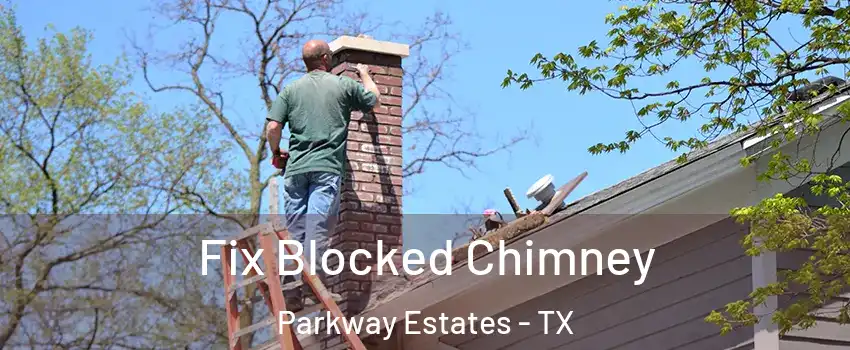 Fix Blocked Chimney Parkway Estates - TX