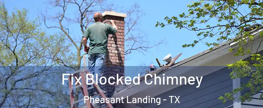 Fix Blocked Chimney Pheasant Landing - TX