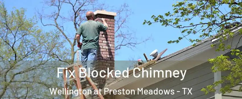 Fix Blocked Chimney Wellington at Preston Meadows - TX