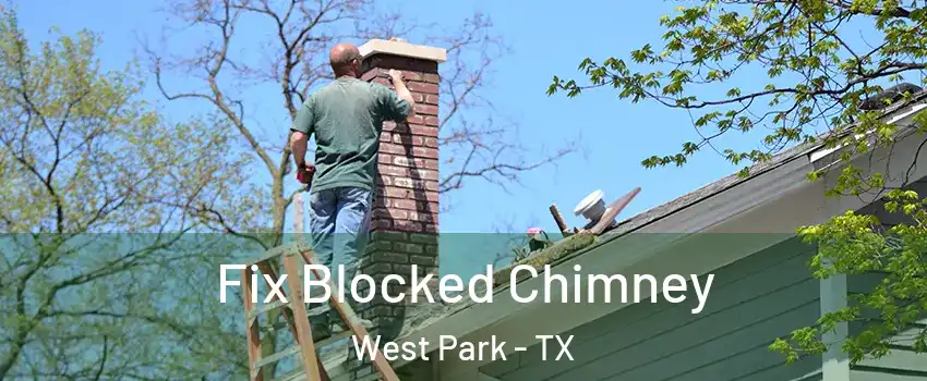 Fix Blocked Chimney West Park - TX