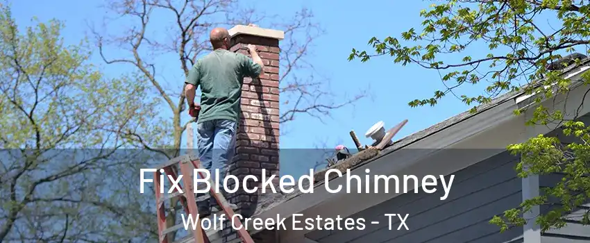 Fix Blocked Chimney Wolf Creek Estates - TX