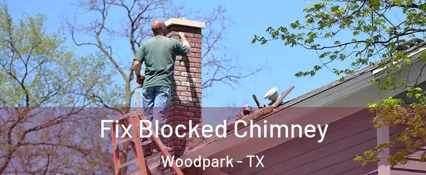 Fix Blocked Chimney Woodpark - TX