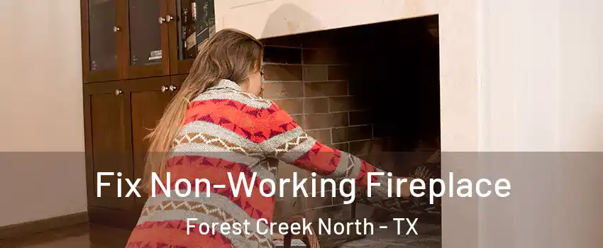 Fix Non-Working Fireplace Forest Creek North - TX
