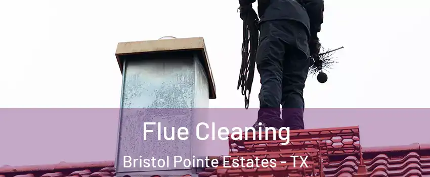 Flue Cleaning Bristol Pointe Estates - TX