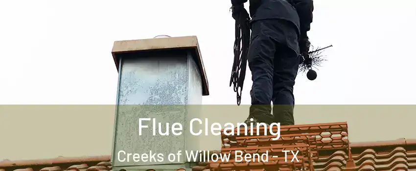 Flue Cleaning Creeks of Willow Bend - TX