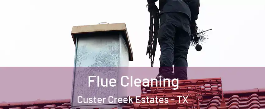 Flue Cleaning Custer Creek Estates - TX