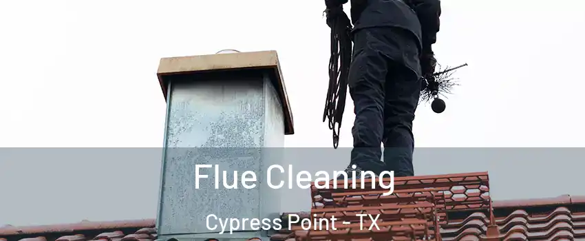 Flue Cleaning Cypress Point - TX