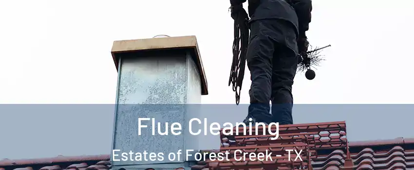 Flue Cleaning Estates of Forest Creek - TX