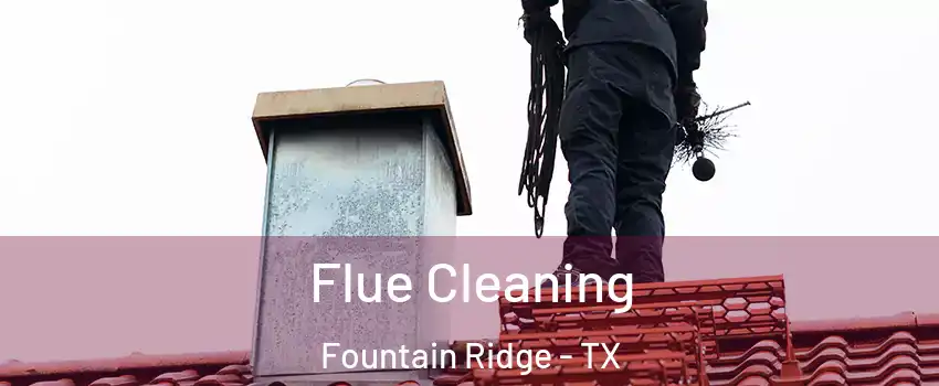 Flue Cleaning Fountain Ridge - TX