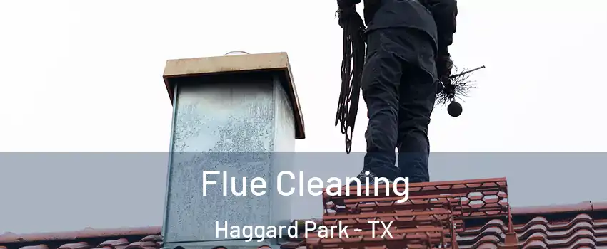 Flue Cleaning Haggard Park - TX