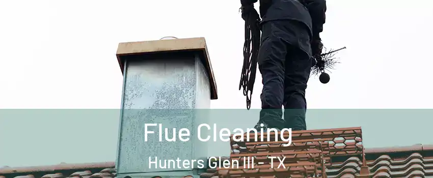 Flue Cleaning Hunters Glen III - TX