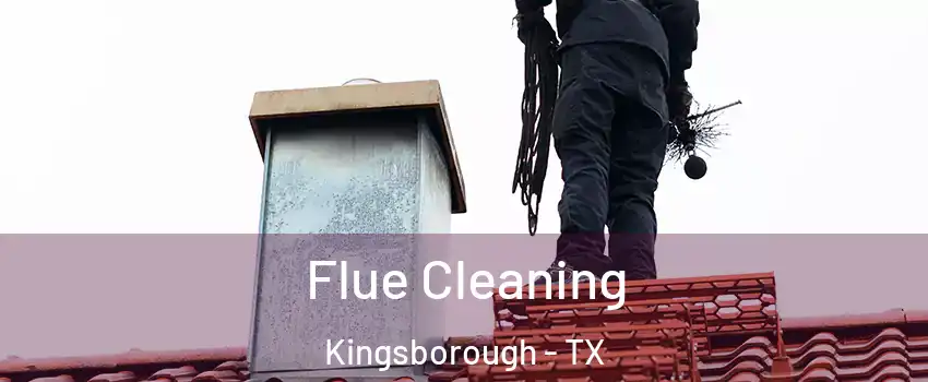Flue Cleaning Kingsborough - TX