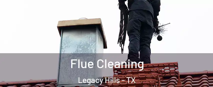 Flue Cleaning Legacy Hills - TX
