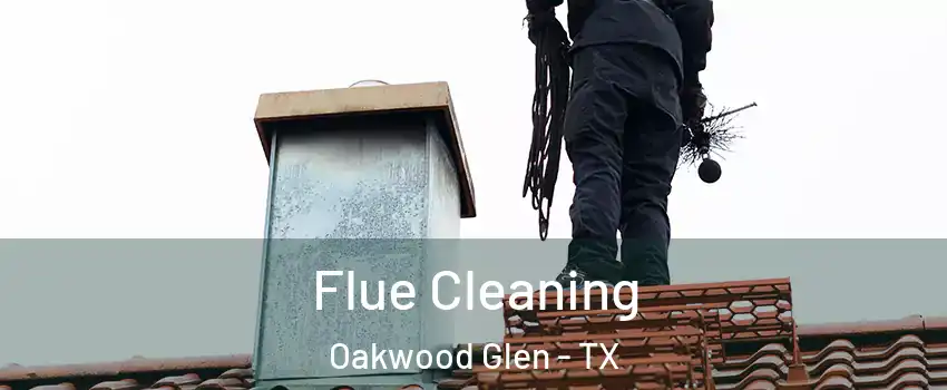 Flue Cleaning Oakwood Glen - TX