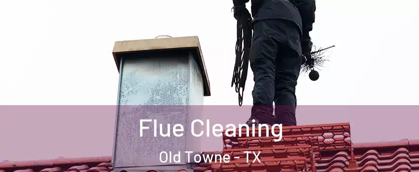 Flue Cleaning Old Towne - TX