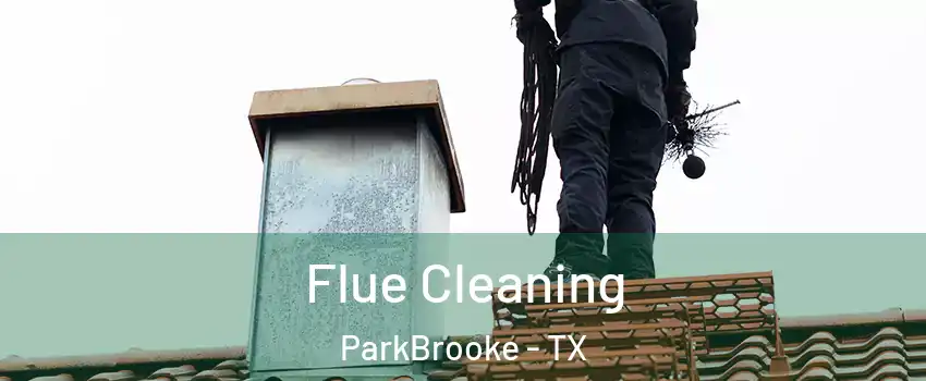 Flue Cleaning ParkBrooke - TX