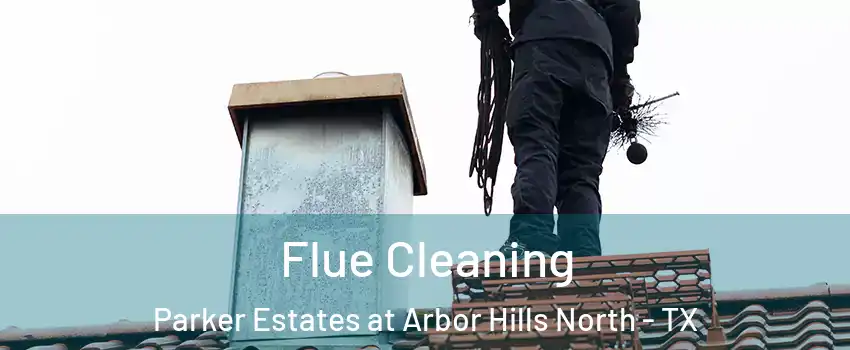 Flue Cleaning Parker Estates at Arbor Hills North - TX