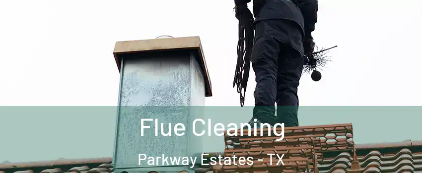 Flue Cleaning Parkway Estates - TX