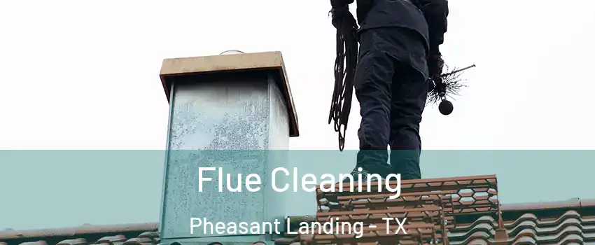 Flue Cleaning Pheasant Landing - TX