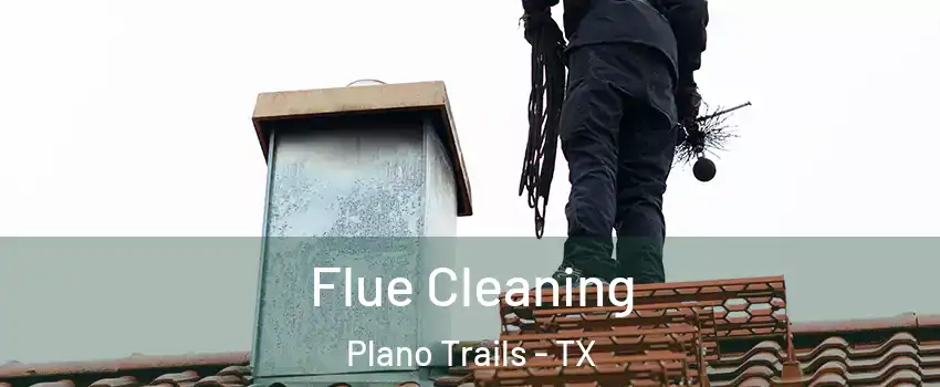 Flue Cleaning Plano Trails - TX