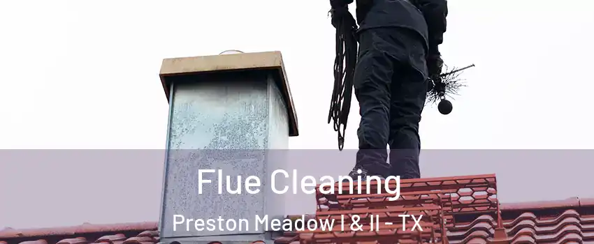 Flue Cleaning Preston Meadow I & II - TX