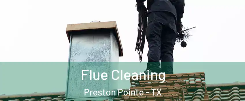Flue Cleaning Preston Pointe - TX