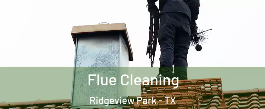 Flue Cleaning Ridgeview Park - TX