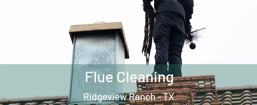 Flue Cleaning Ridgeview Ranch - TX