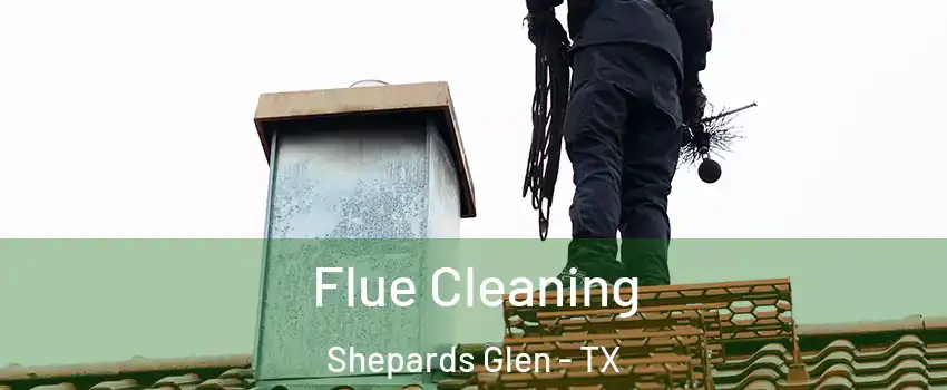 Flue Cleaning Shepards Glen - TX