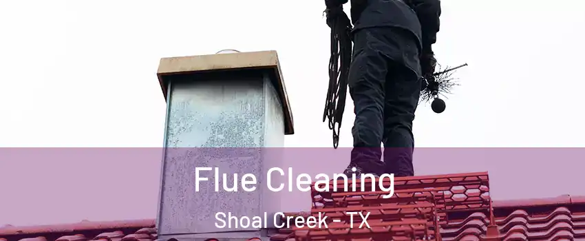Flue Cleaning Shoal Creek - TX