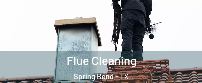 Flue Cleaning Spring Bend - TX